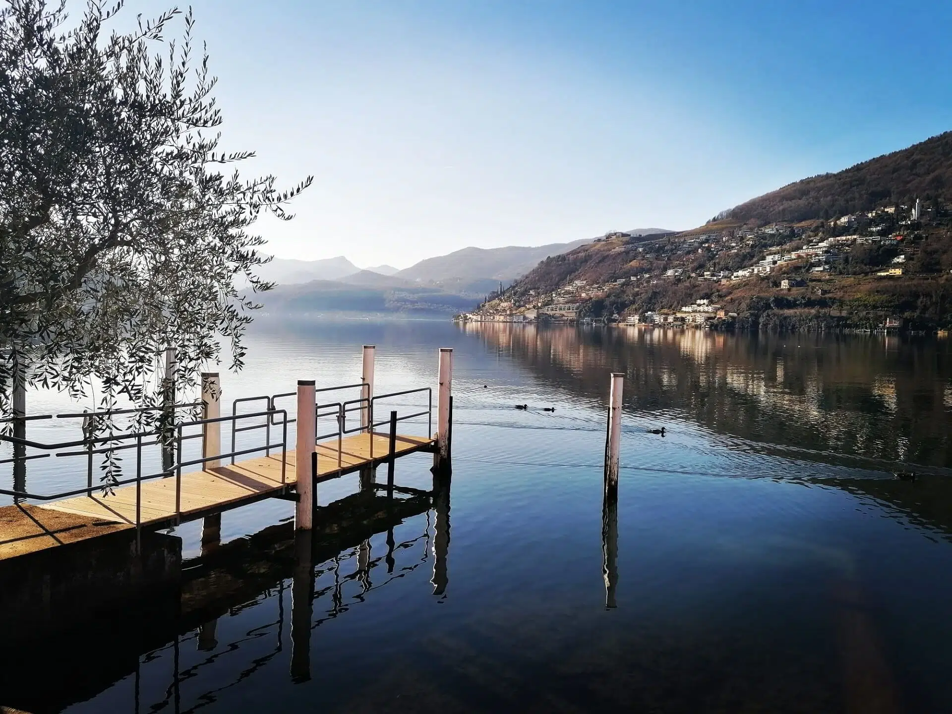 Dolceresio Lugano Lake B&B, Brusino Arsizio - Galerie - 1 12 gennaio 2020