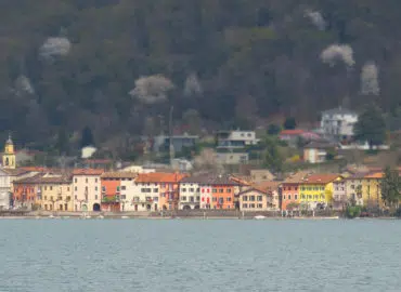 Offre spéciale de printemps